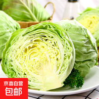 京喜 新鲜包菜绿甘蓝卷心菜蔬菜沙拉生鲜 甘肃甘蓝带箱2斤（净重1.8斤）