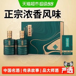 舍得 酒品味大师晏浓香型白酒52度500ml*2瓶礼盒装节日送礼
