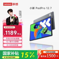 联想 小新PadPro12.7 平板电脑 2.9K高刷全面屏 娱乐学习 10200mAh超长续航 8+128G灰