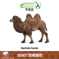 COLLECTA [品牌爆款]仿真动物模型 早教认知玩具 一站式选齐热销款 88807 双峰骆驼