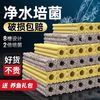 鱼缸过滤材料过滤滤材细菌屋净水培菌适用底滤鱼池周转箱过滤器