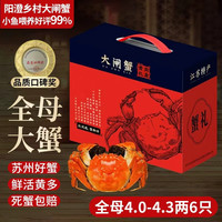 PLUS会员：阳澄乡村 大闸蟹全母4.0-4.3两6只 去绳足重鲜活螃蟹现货生鲜水产海鲜礼盒