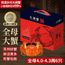阳澄乡村 大闸蟹全母4.0-4.3两6只 去绳足重鲜活螃蟹现货生鲜水产海鲜礼盒