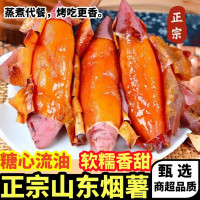 黄六爷 正在山东烟薯25号新鲜现挖农家自种糖心流油无丝烤番薯地瓜产地发 精选大果 400g+ 5斤（美味乐享）