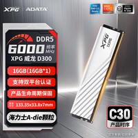 威刚 XPG威龙D500 DDR5 6000C28 16GB 台式机内存条