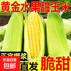 京喜 横县甜玉米 带箱3斤