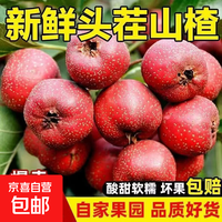 京喜加 新鲜山楂果 带箱2斤
