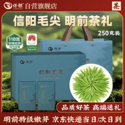 保银 茶叶信阳毛尖2026新绿茶明前特级嫩芽 250g
