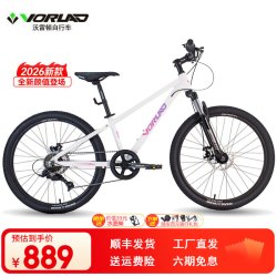 VORLAD 2026新款红日100铝合金车架机械碟刹培林花鼓青少年山地自行车 白色12寸