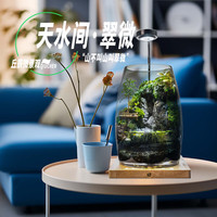 丘辰 苔藓微景观养鱼生态瓶diy办公室内桌面绿植摆件花卉盆栽 翠微香（香薰底座）
