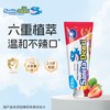 莎卡 sanita-denti 莎卡 婴幼儿牙膏