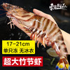 东上御品 竹节虾 17-21cm 2斤 冷冻海鲜水产