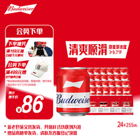 百威 小麦醇正啤酒 255ml*24听