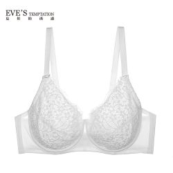Eve's Temptation 性感蕾丝文胸 7543113