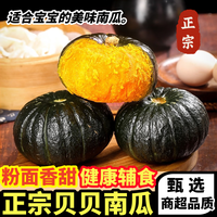 黄六爷 贝贝南瓜4.5斤