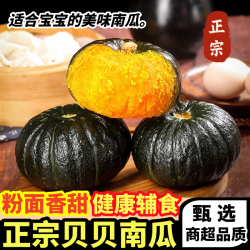 黄六爷 贝贝南瓜4.5斤
