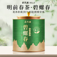 杰盈 绿茶碧螺春春季新茶正宗明前新茶碧螺春浓香型茶叶罐装250g