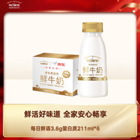 每日鲜语 鲜牛奶 高品质原生低温牛奶 巴氏杀菌乳 3.6g 211ml*6 3.6g蛋白全脂211ml*6瓶