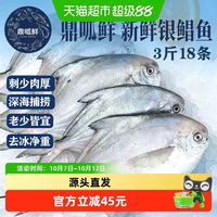 88VIP：鼎呱鲜 鲜活银鲳鱼 舟山深海新鲜款 500g*3袋