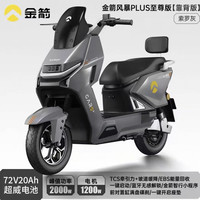 金箭 风暴 PLUS 至尊版智能电动摩托车72V20Ah超威电池