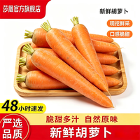 莎凰 带泥胡萝卜精品胡萝卜新鲜蔬菜整箱包邮 净重1斤