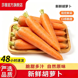 莎凰 带泥胡萝卜精品胡萝卜新鲜蔬菜整箱包邮 净重1斤