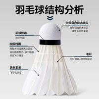 88VIP：得力 安格耐特羽毛球训练级强韧耐打型鸭鹅毛室内室外训练球多只装