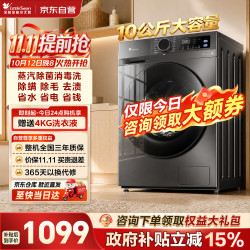 小天鹅 纯净系列 TG100V098PRO 滚筒洗衣机 10kg 金属钛
