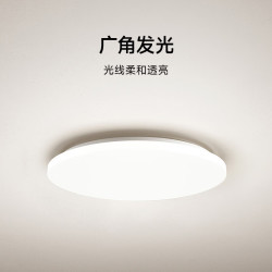 米家 C系列D40 全光谱护眼 白色 30W 吸顶灯