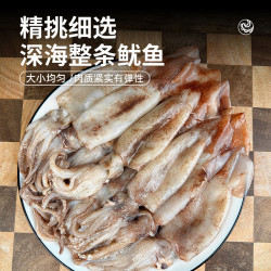 海鼎纪 深海船冻鱿鱼1.6斤（400g*2） 3-5条/包 海鲜水产 烧烤