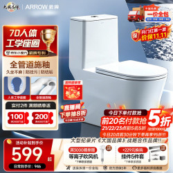 箭牌 AE1021M 连体式马桶 305mm坑距