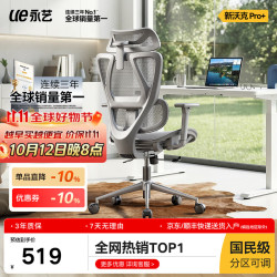 永艺 新沃克Pro+ 6D独立扶手 灰色 网布 人体工学椅