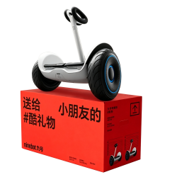 九号 电动平衡车 L6入门儿童版  36v电压  10KM续航