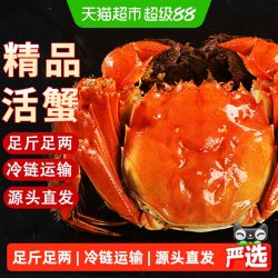 仲秋 大闸蟹活蟹全母2.8-3.1两 共8只