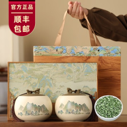 蓝之坊 送礼茶叶礼盒装花果香碧螺春绿茶高级高档送礼品过节送长辈送领导
