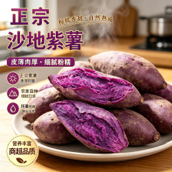 黄六爷 沙地紫罗兰紫薯5斤
