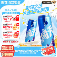 雪花 BEER 雪花 SNOWBEER BEER BEER 勇闯天涯 啤酒 500ml*24听