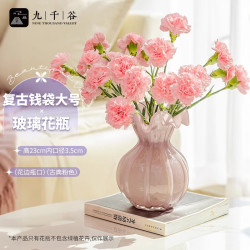 九千谷 轻奢玻璃花瓶大口径水培容器客厅摆件装饰荷花大号玻璃花瓶1869