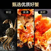 88VIP：仲秋 大闸蟹全母2.8-3.1两 8只