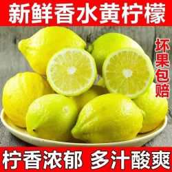 香水黄柠檬1斤 正宗广东鲜香多汁奶茶店专用源头产地直发 香水柠檬黄果单果60g起