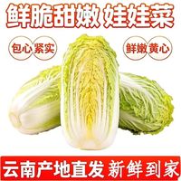 百亿补贴：欣飞果源 云南新鲜娃娃菜农家蔬菜彩箱净重4.8斤
