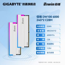 技嘉 佰维 DDR5 6000 C28 C30 16Gx2 32G 24Gx2 48G 白色RGB内存条
