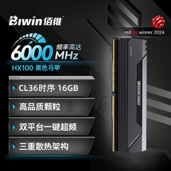 佰维 DW100 DDR5 RGB灯效 内存条