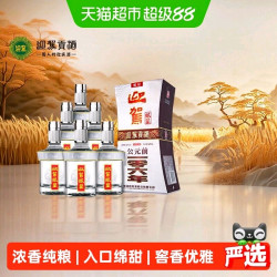 迎驾贡酒 银星 42度 浓香型白酒 520ml*6瓶 整箱