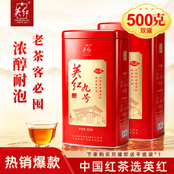 英红 茶叶英红九号 英德红茶 一级茶叶双罐礼袋装中秋茶礼共500g