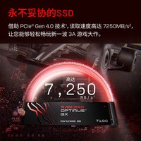闪迪 奥丁马仕Optimus GX7100 m.2固态硬盘游戏SSD笔记本台式