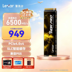 雷克沙 THOR PRO 雷神系列 NVMe M.2 固态硬盘 1TB（PCI-E 4.0）