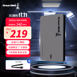 长城 256GB SSD固态硬盘 SATA3.0接口 GW560系列