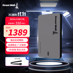 长城 GW560 SATA3.0接口 2TB 固态硬盘