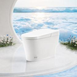 安华 桶自洁虹吸式大冲力静音轻智能马桶 U9Pro